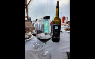 Wine at 9,000 Feet