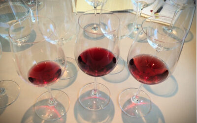 On judging wine quality