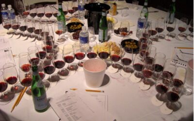 Wine Competition Notes from the Sommelier’s Choice Awards