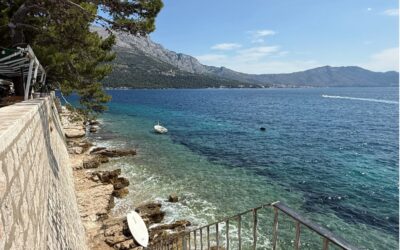 Why does my wine taste better on vacation?